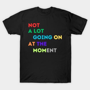 NOT A LOT IS GOING ON AT THE MOMENT T-Shirt